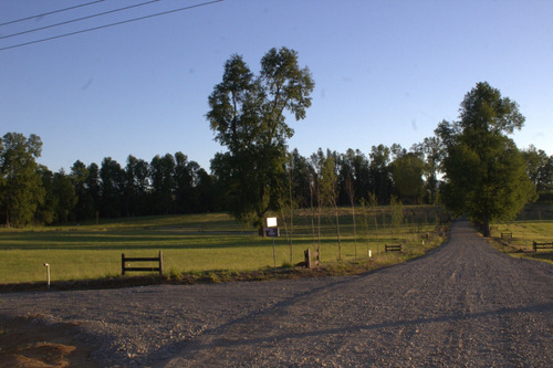 Hermosas Parcelas Ruta Ch-199 Km. 7 Villarrica - Pucón