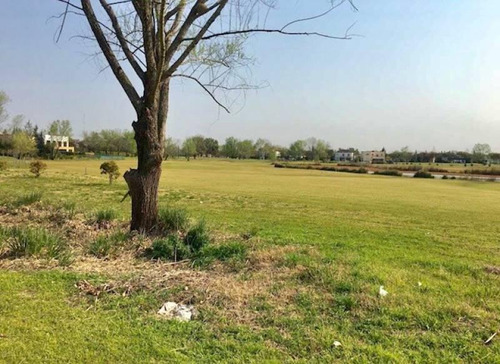 Imagen 2 de 5 de Excelente Lote Al Golf En El Barrio San Isidro Labrador