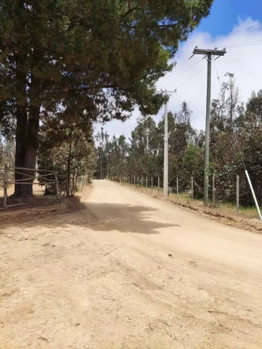 Vendo Terreno 11 Has, El Totoral, El Quisco