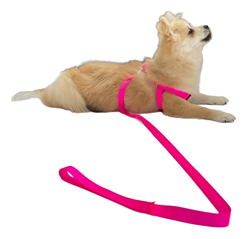 Peitoral Coleira Cão Bulldog Francês Cachorro Pequeno P Pink