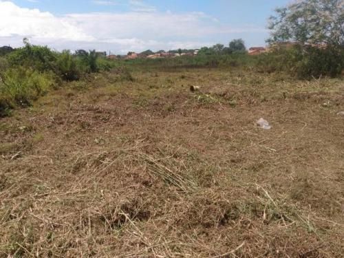 Imagem 3 de 6 de Amplo Terreno Lado Serra, Itanhaém- Tupy 250m² À Venda. 9457