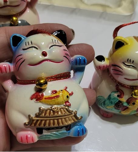   Lucky Cat Gato De La Suerte Coleccion De 5  Feng Shui  