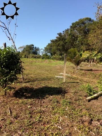 Sitio Iguape - St00023