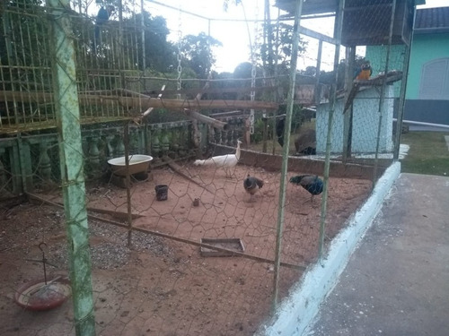 Imagem 19 de 30 de Chacara - Ch00054 - 67865710