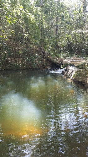 Imagem 13 de 20 de Chácara Com 5 Dormitórios À Venda, 4000 M² Por R$ 1.260.000,00 - Zona Rural - Silvânia/go - Ch0001