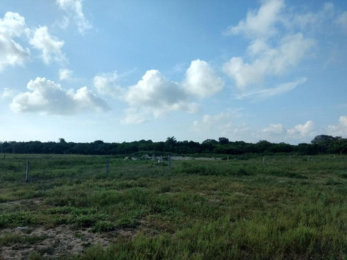 Venta Rancho 150 Hectareas Frente Laguna Tamiahua Veracruz
