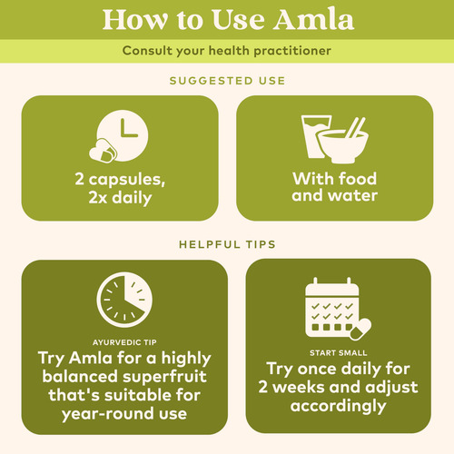 Amla En Polvo Orgánico De La India: Grosella Espinosa India