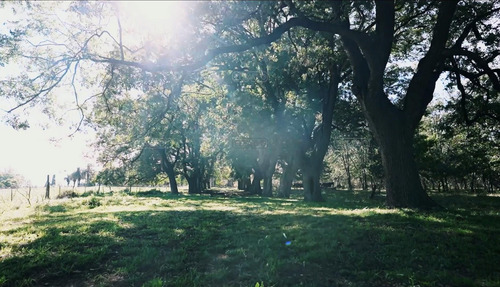Terreno Lote En Venta En Estancia Carabassa, Pilar, G.b.a. Zona Norte