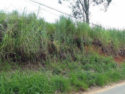 Imagem 3 de 11 de Terreno Em Pedras Ruivas - Paty Do Alferes - 1220