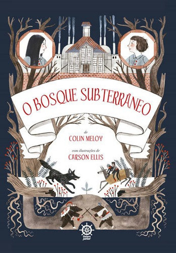 O Bosque Subterrâneo (vol.2 Crônicas De Wildwood) - Vol. 2, De Meloy, Colin. Editora Galera Junior, Capa Mole, Edição 1ª Edição - 2016 Em Português