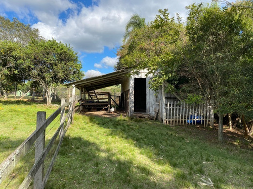 Chácara 20.000 M² - Lomba Grande - Novo Hamburgo - Rs - 2386 - 68158437