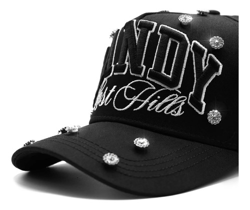 Gorra Dandy Hats X Lost Hills Burning Hills Handle With Care Negro Unitalla