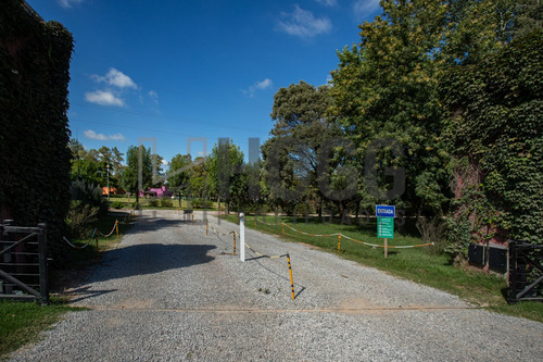 Lote 1000 M2 El Tropezón