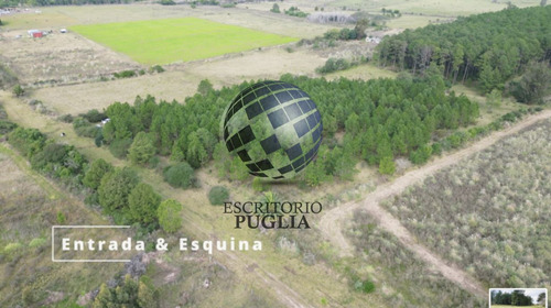 Campo En Venta De 8,5 Hectáreas, Ubicado En Toledo
