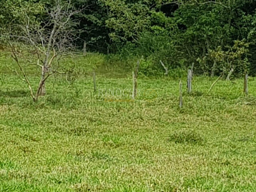 Imagem 9 de 14 de Chácara Em Claraval - Mg - Ch0013_rncr
