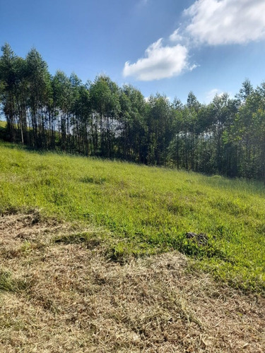 Imagem 18 de 18 de C05 Terrenos A Venda Venha Investir Para Você E Sua Família!