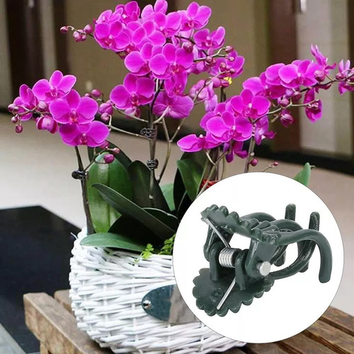 Grampos De Plantas Duráveis Clipes De Orquídea Para Jardim