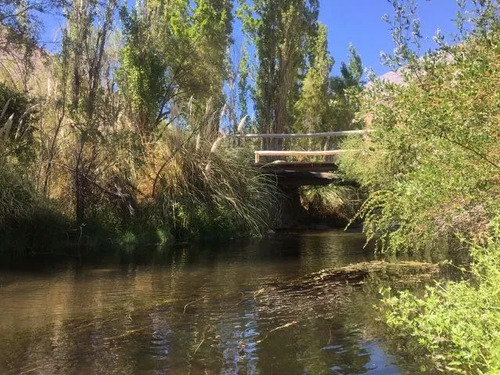 Alcohuaz Valle Elqui Borde Rio 1.9 Ha (121502)