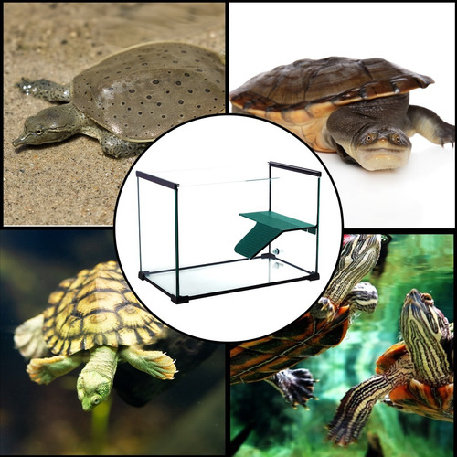 Reptizoo Tortuguero De Lujo 52 L, Cristal, Plataforma, Drena