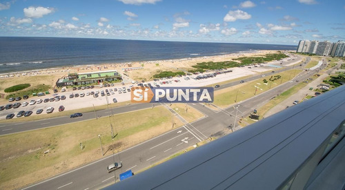 Imagen 3 de 16 de Apartamento En Venta - Brava