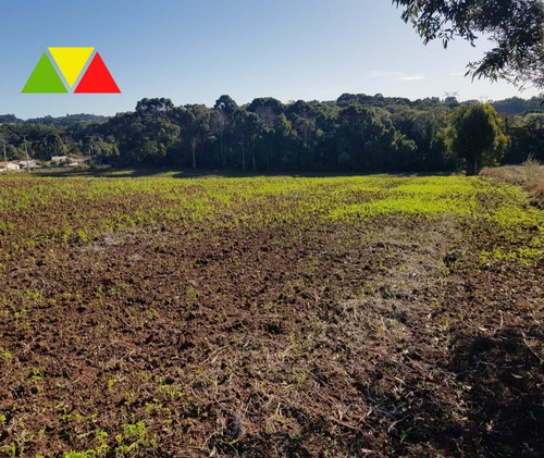 Imagem 13 de 30 de Chácara À Venda Em Contenda, Araucária R$ 500.000,00 - Ch00113 - 68066926