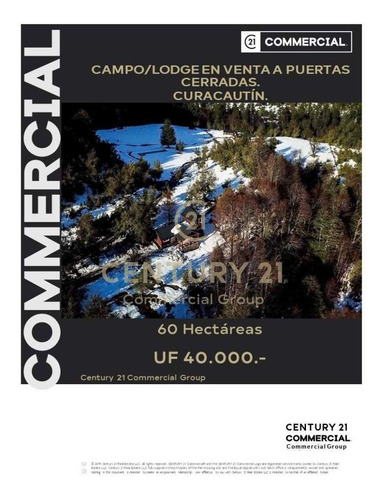 Imagen 1 de 27 de Venta De Lodge O Campo De Ensueño Rodeado De Bosque Nativ...