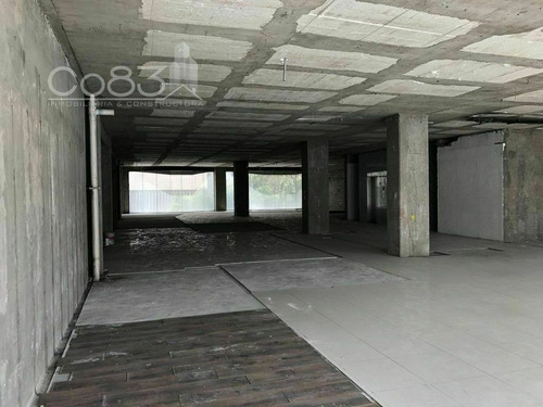 Imagen 7 de 29 de Renta - Oficina - Hamburgo - 520 M2 - Piso 3