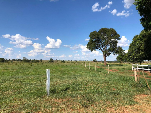 Imagem 4 de 13 de Fazenda Para Venda Em Nova Alvorada Do Sul, Rural - Fazgu 600_1-1946712