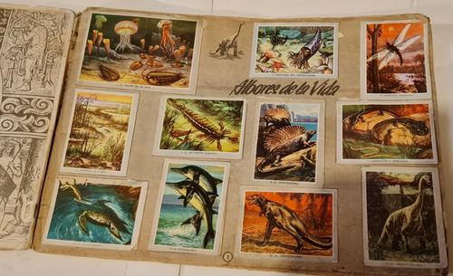 Album Vida Y Color De Los 70 Completo (Usado)
