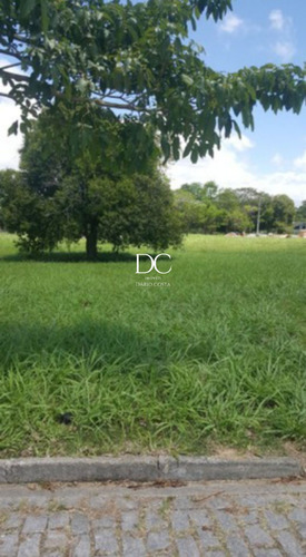 Imagem 4 de 9 de Terreno - Te00191 - 70238215