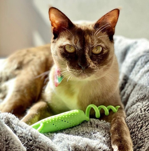 Gigwi Mouse Juguete Raton Catnip Estimulante Para Gatos