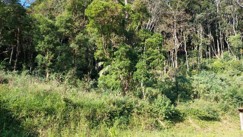 Imagem 3 de 4 de Terreno Com Lago 24.000 M² Acesso Asfaltado