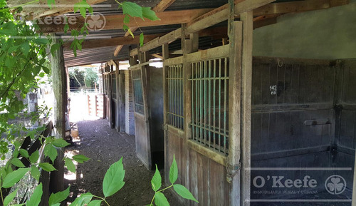 Imagen 9 de 15 de Punta Indio 100 Has Campo En Venta - Ideal Feed Lot - Oportunidad