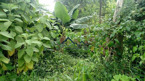 Imagem 15 de 15 de Área No Centro De Caucaia. Oportunidade Para Investir! - 202
