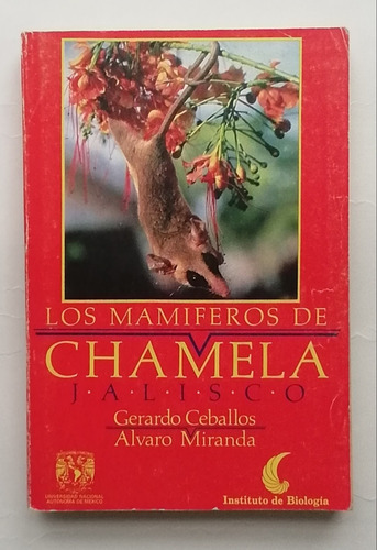 Los Mamíferos De Chamela Jalisco