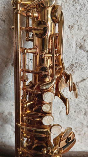 Saxo Alto Palmer Paris Series Dorado Oscuro (Usado)