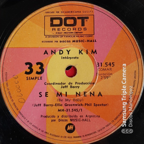 Simple Andy Kim Dot Record C15