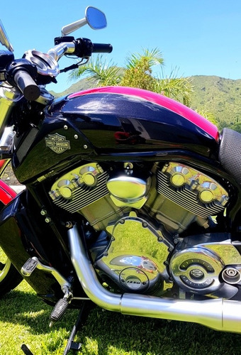 Harley Davidson V-rod Muscle 1250 Cc !!!
