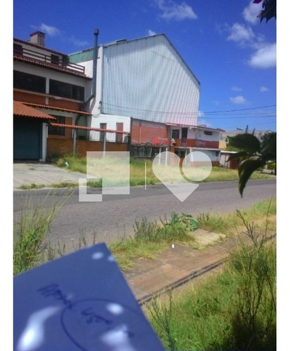 Imagem 2 de 7 de Terreno - Bom Jesus - Ref: 21323 - V-300654