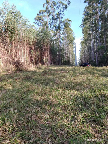 Imagem 14 de 14 de Terreno 1000m² A Venda Em Igaratá-sp Vista Para A Represa Er