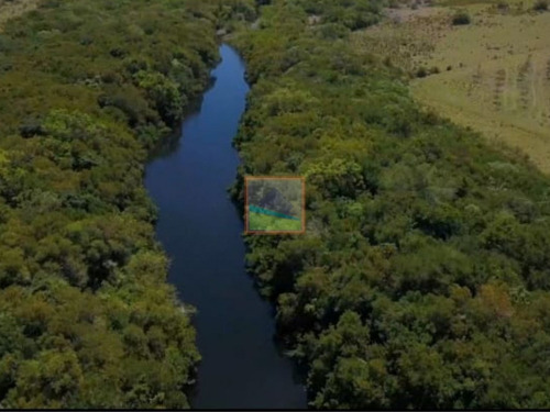 Imagen 11 de 14 de Campo De Olivos 324 Has En Los Caracoles