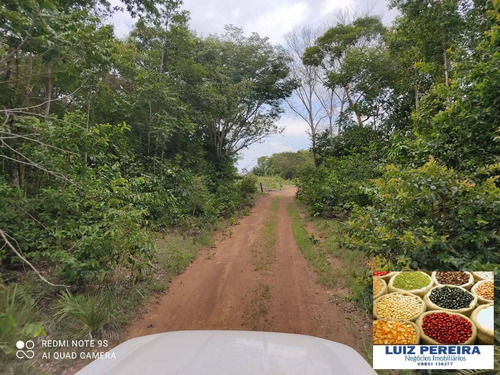 Imagem 2 de 14 de Fazenda À Venda Em Santa Rita Do Pardo - Ms - 650 Hectares (pecuária) - 1657