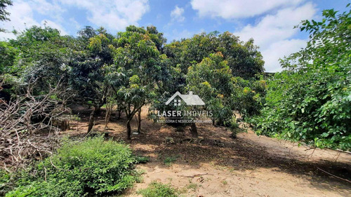 Imagem 19 de 30 de Chácara À Venda, 1894 M² Por R$ 820.000,00 - Jardim Santa Gertrudes - Jundiaí/sp - Ch0004