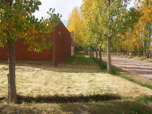 Imagen 3 de 4 de Terreno En Villa Viñuela, San Rafael