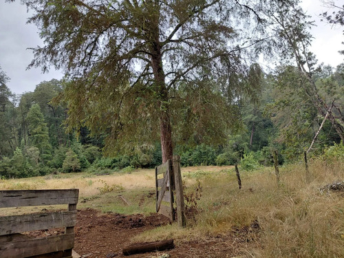 Espectacular Campo De 200 Hectareas En Loncoche