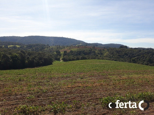 Imagem 4 de 15 de Chacara - Bugre - Ref: 773 - V-773
