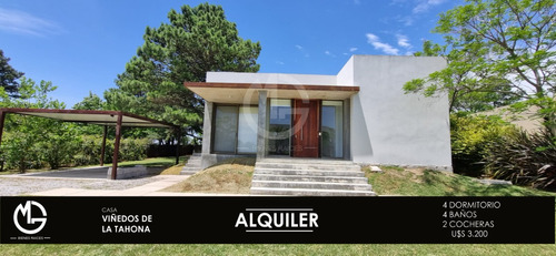 Alquiler Casa Viñedos De La Tahona