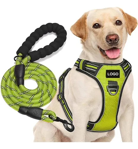 Pechera Anti Tirones Para Perro + Correa Pretal Arnés Verde S