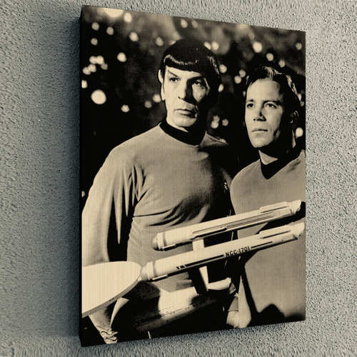 Cuadro De Serie Star Trek Spock And Kirk 30x40x4cm