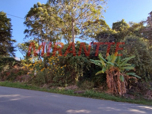 Imagem 1 de 1 de Terreno Em Parque Petropolis - Mairiporã, Sp - 369519